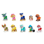 Paw patrol gift set 10 figuren
