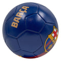 Barcelona fc voetbal fc barcelona groot home (120515)