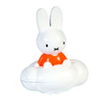 Rubo Toys Regenmaker voor in Bad