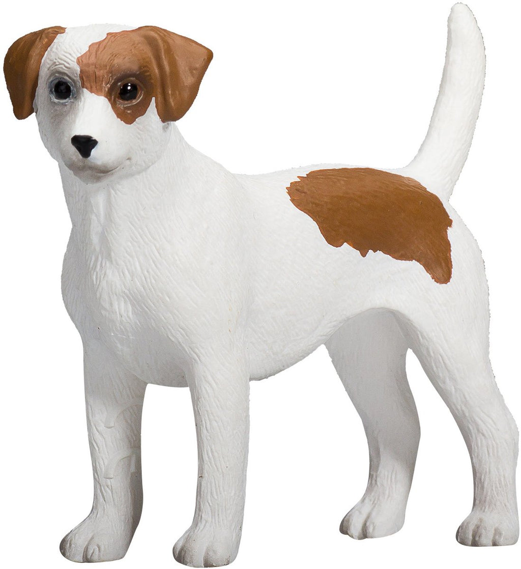 MOJO - MOJO farmland jack russell terriër - 387286