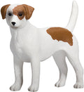 MOJO - MOJO farmland jack russell terriër - 387286