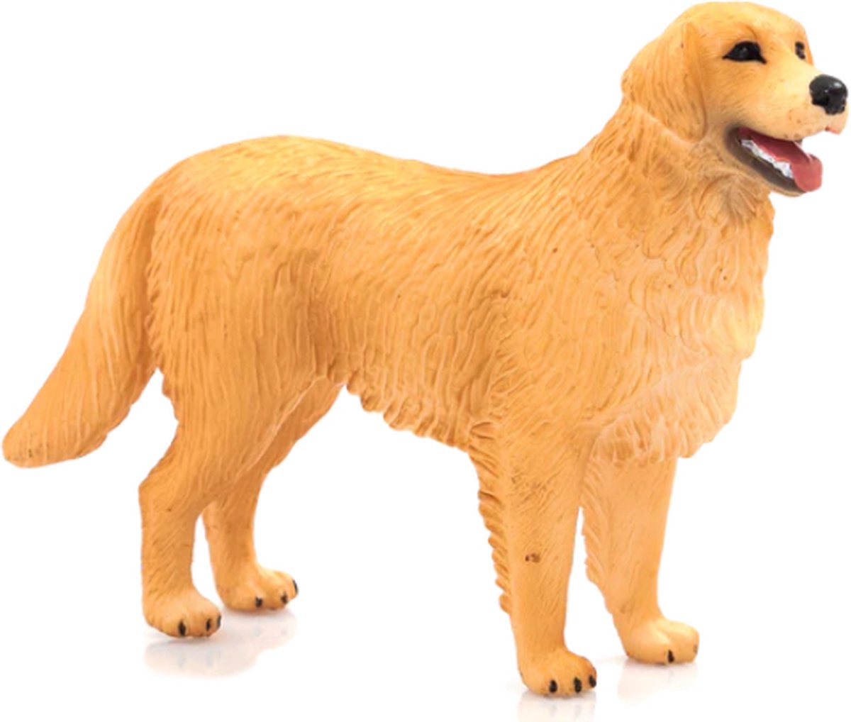 MOJO - MOJO farmland golden retriever - 387198