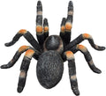 Mojo wildlife rode tarantula - 387213