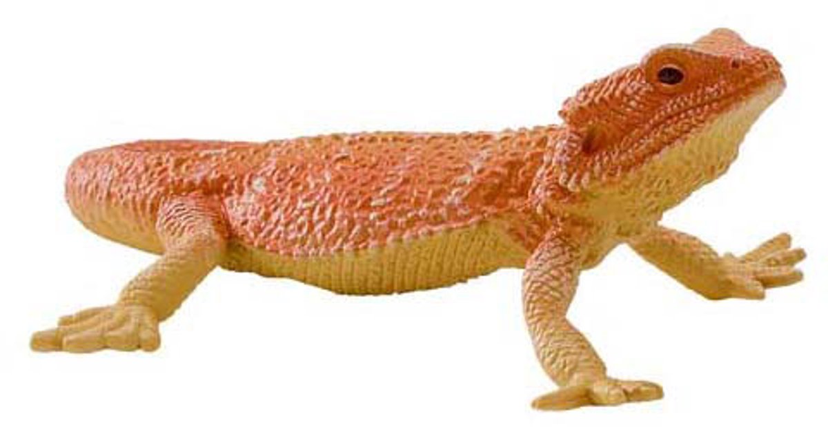 MOJO - MOJO wildlife baardagaam - 381096