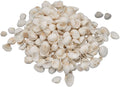 Colorations - schelpen knutselpakket 500 gram - creatieve stranddecoratie.