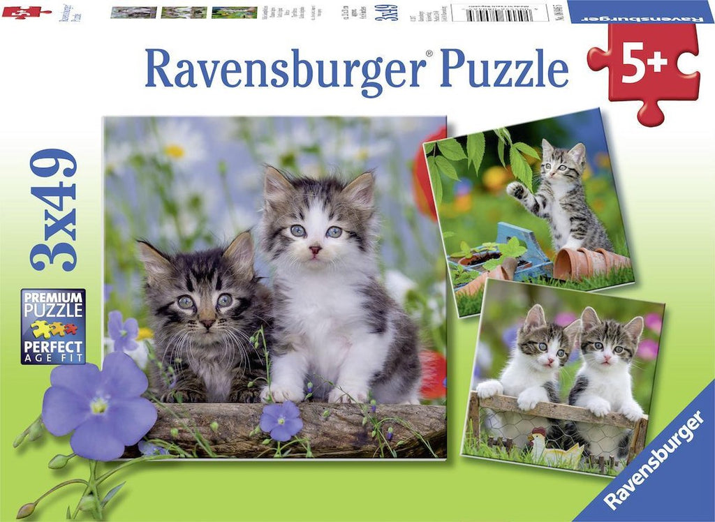 Ravensburger - puzzel katten - 3x49 stukjes - kinderpuzzel