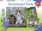 Ravensburger - puzzel katten - 3x49 stukjes - kinderpuzzel