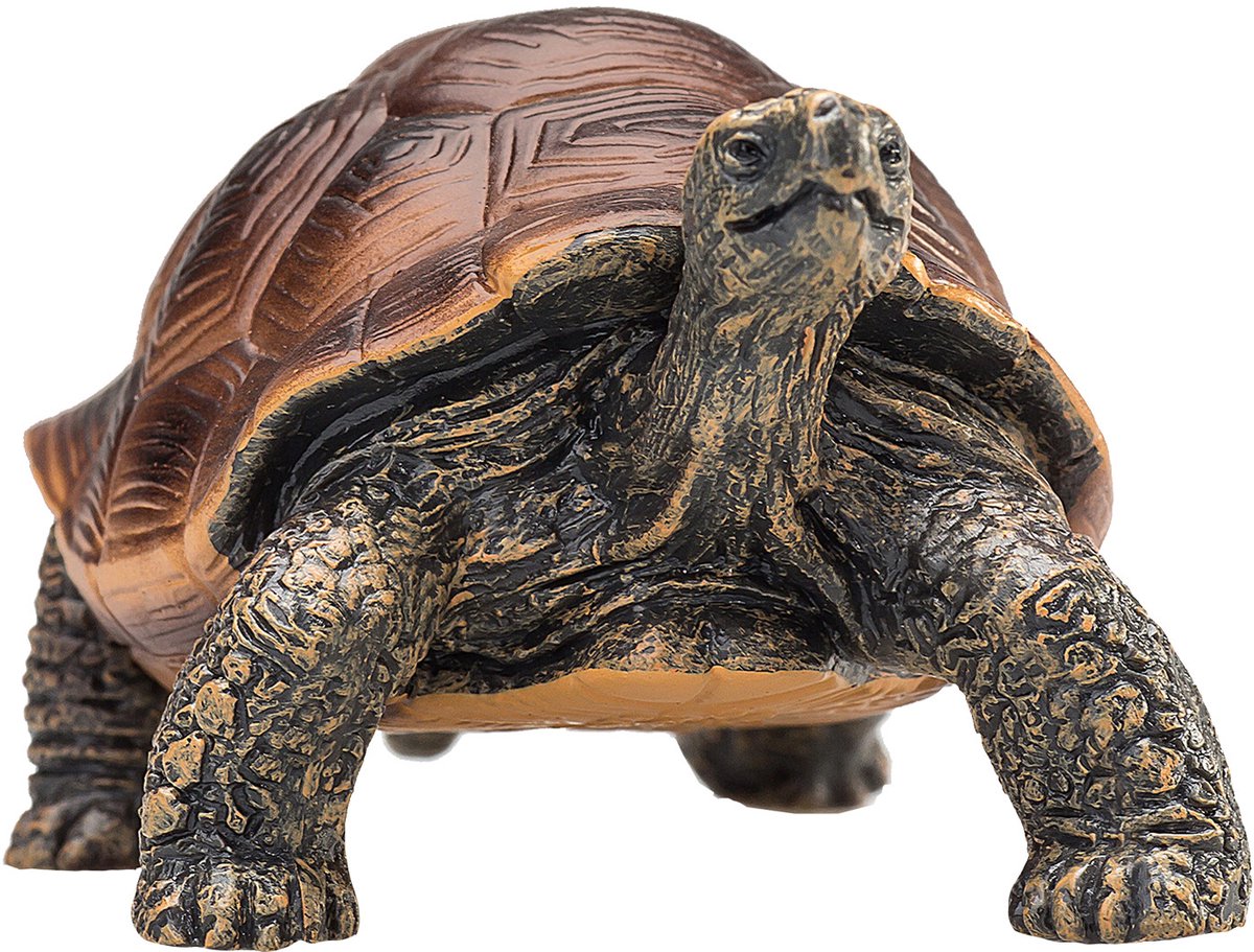 MOJO - MOJO wildlife reuzenschildpad - 387259
