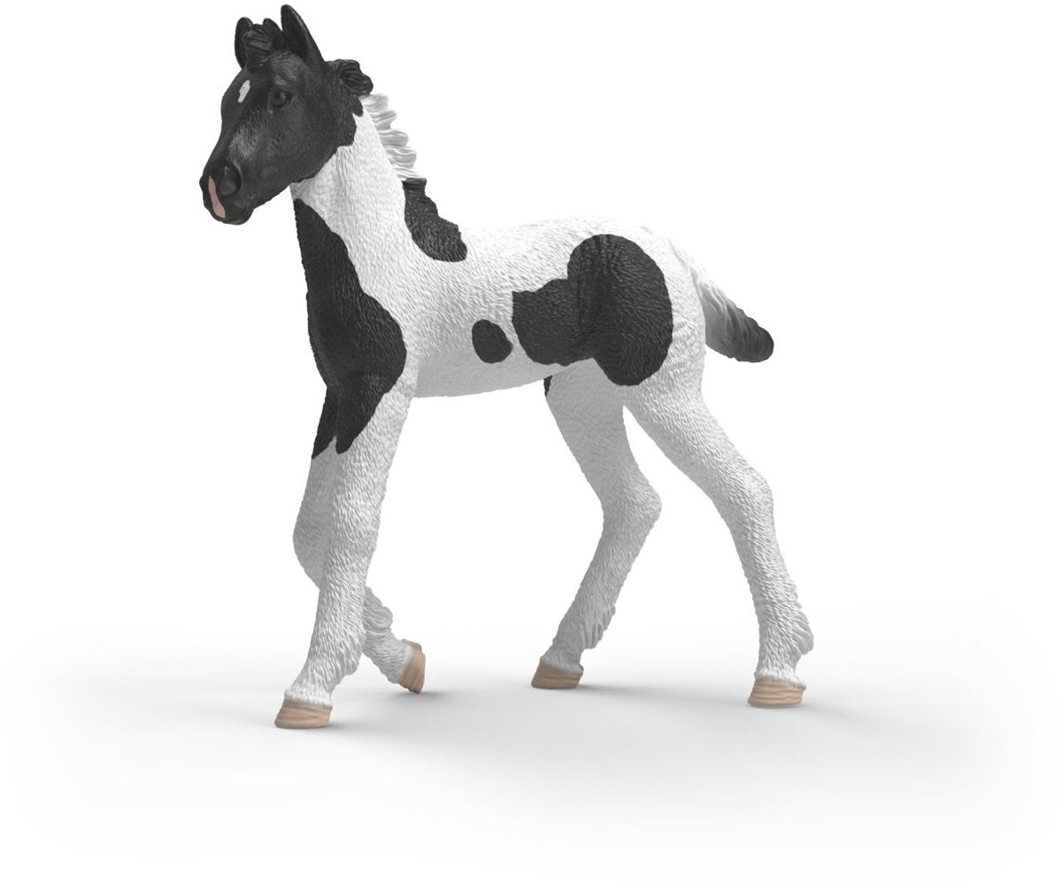 Schleich horse club verzamelbaar veulen rocky 81481