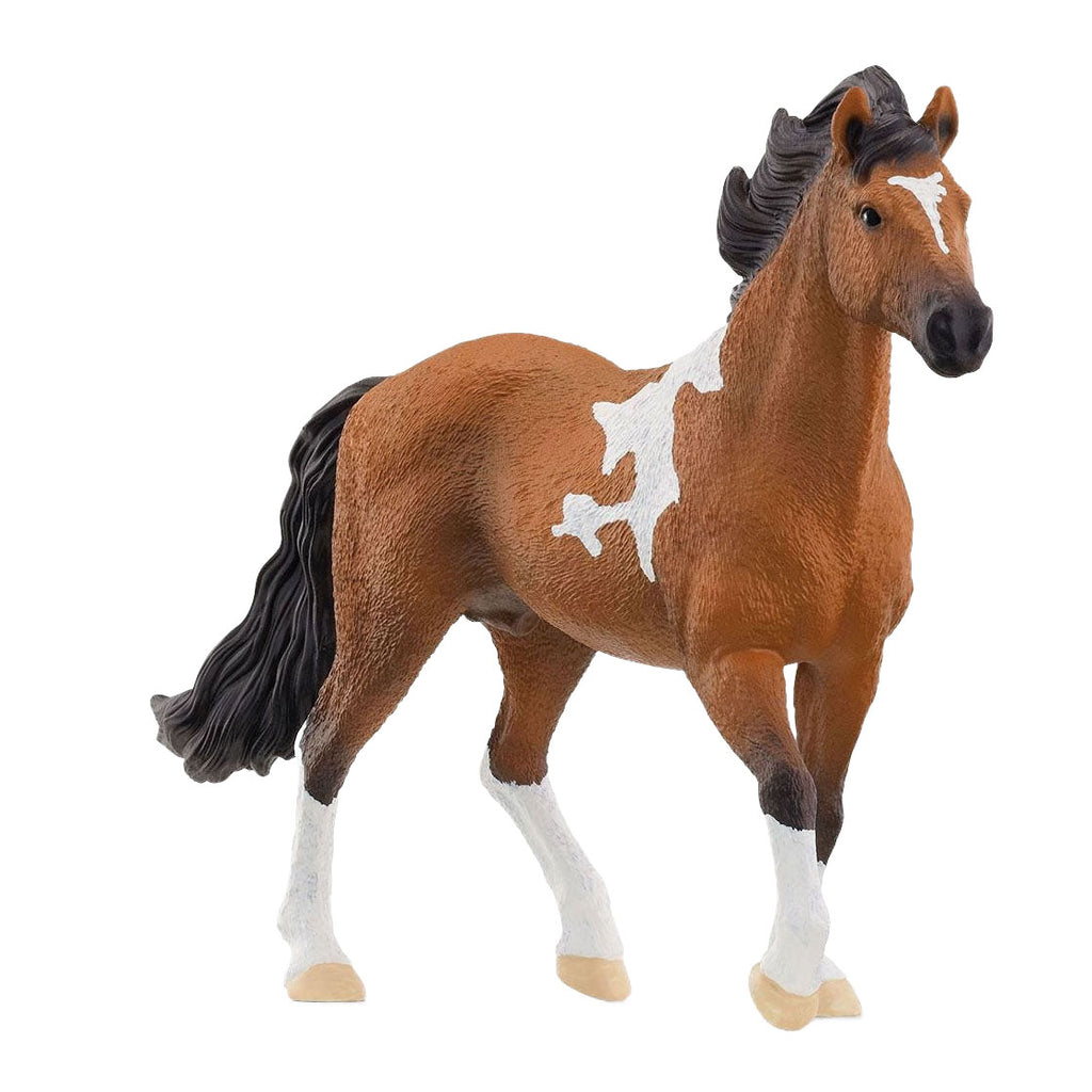 Schleich 13978 mangalarga marchador hengst | 5 stuks