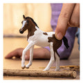 Schleich 14899 paint horse foal | 5 stuks