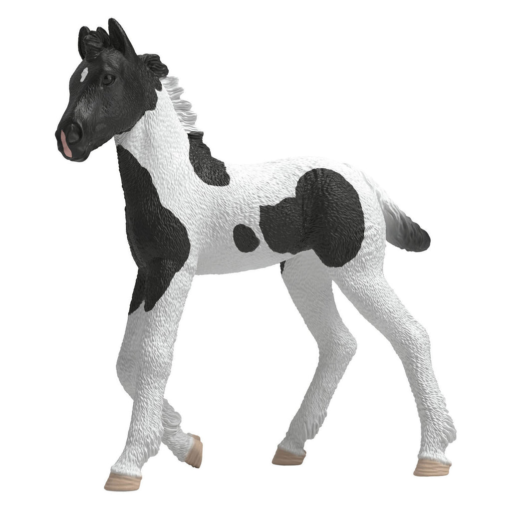 Schleich - horse club verzamelbaar veulen rocky 81481