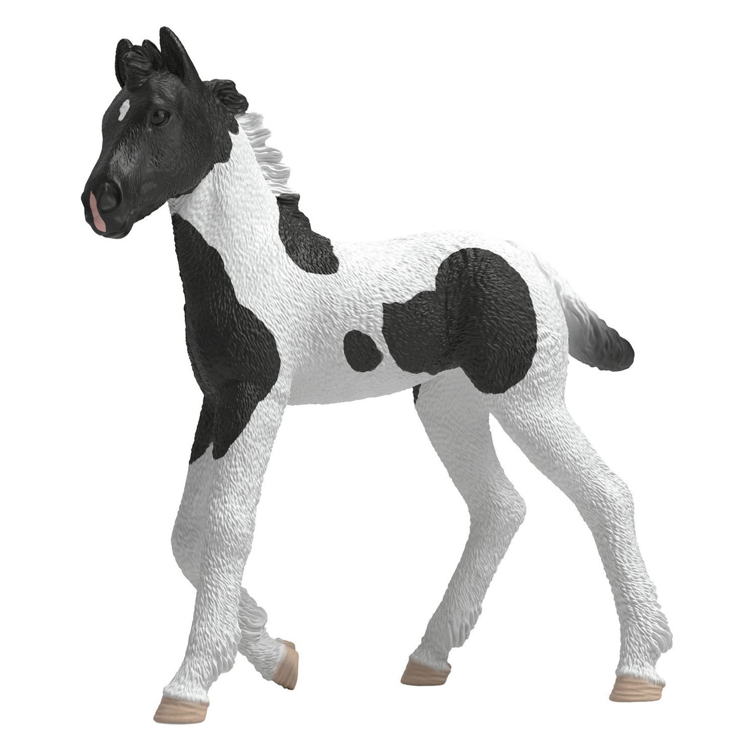 Schleich - horse club verzamelbaar veulen rocky 81481