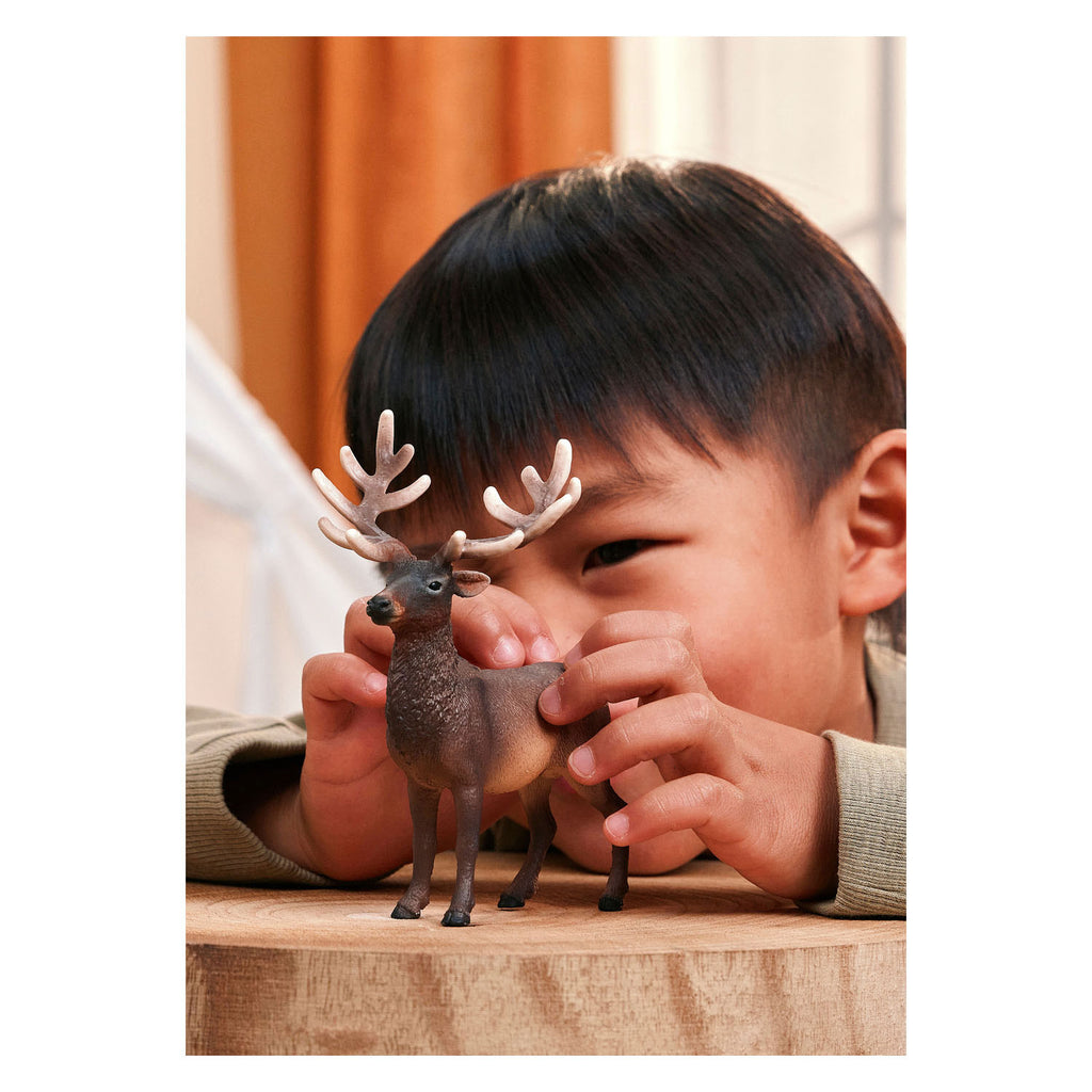 Schleich - wild life amerikaans edelhert 14992