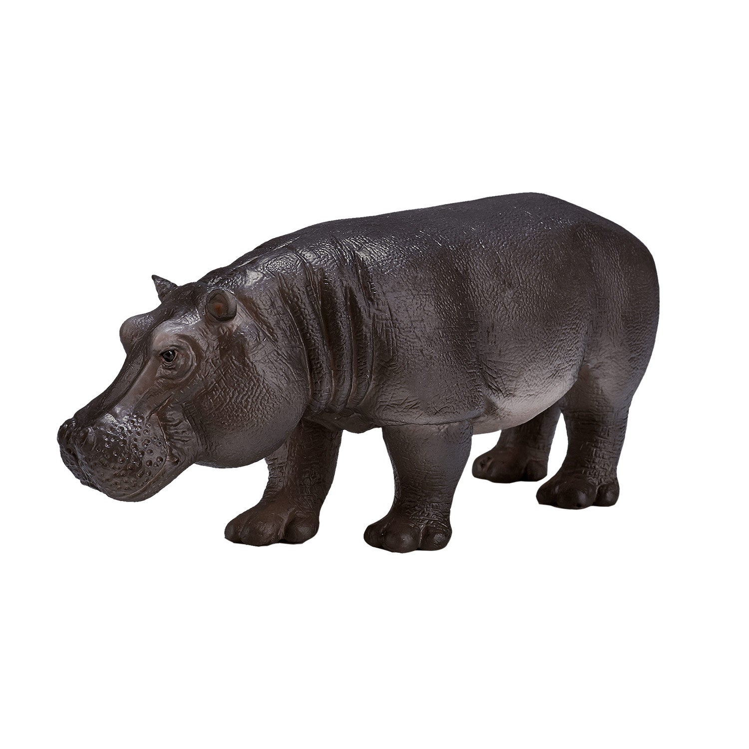 Mojo - wildlife nijlpaard vrouw - 387104