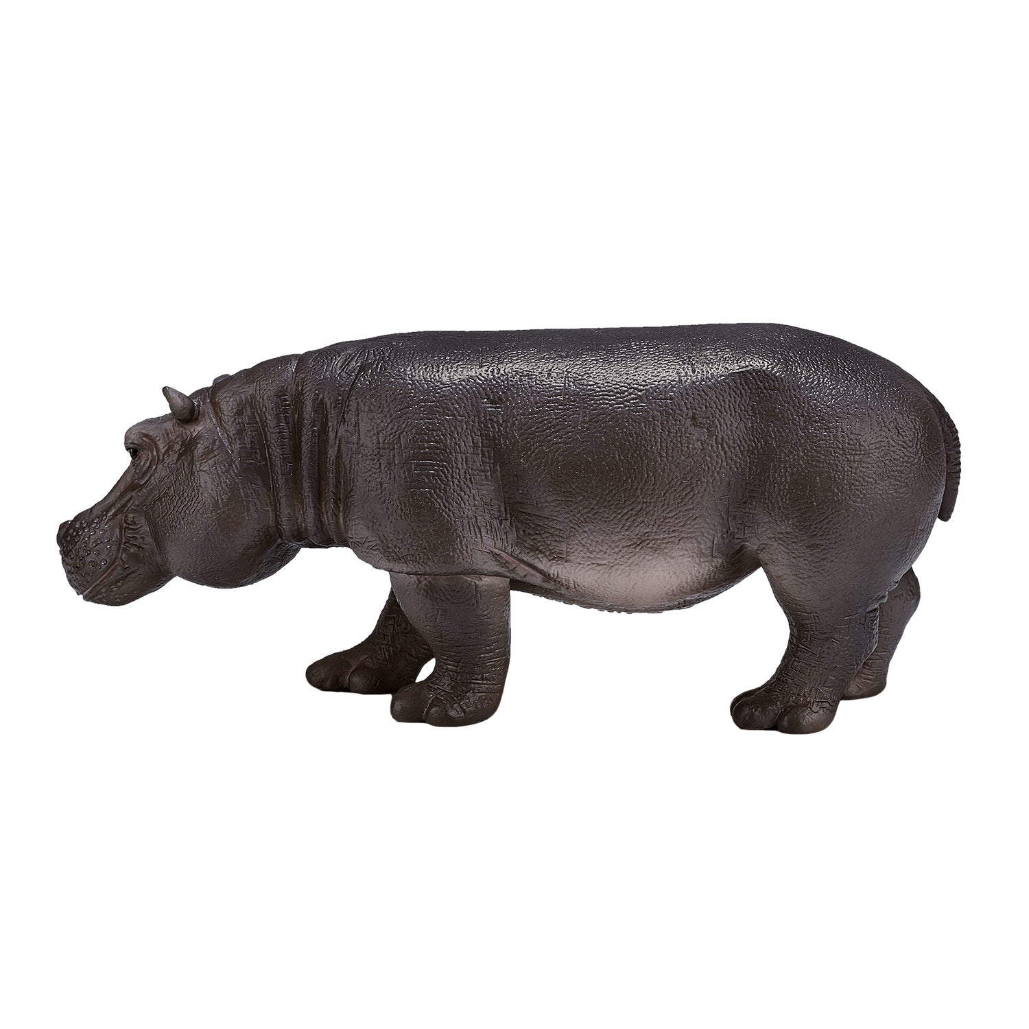 Mojo - wildlife nijlpaard vrouw - 387104