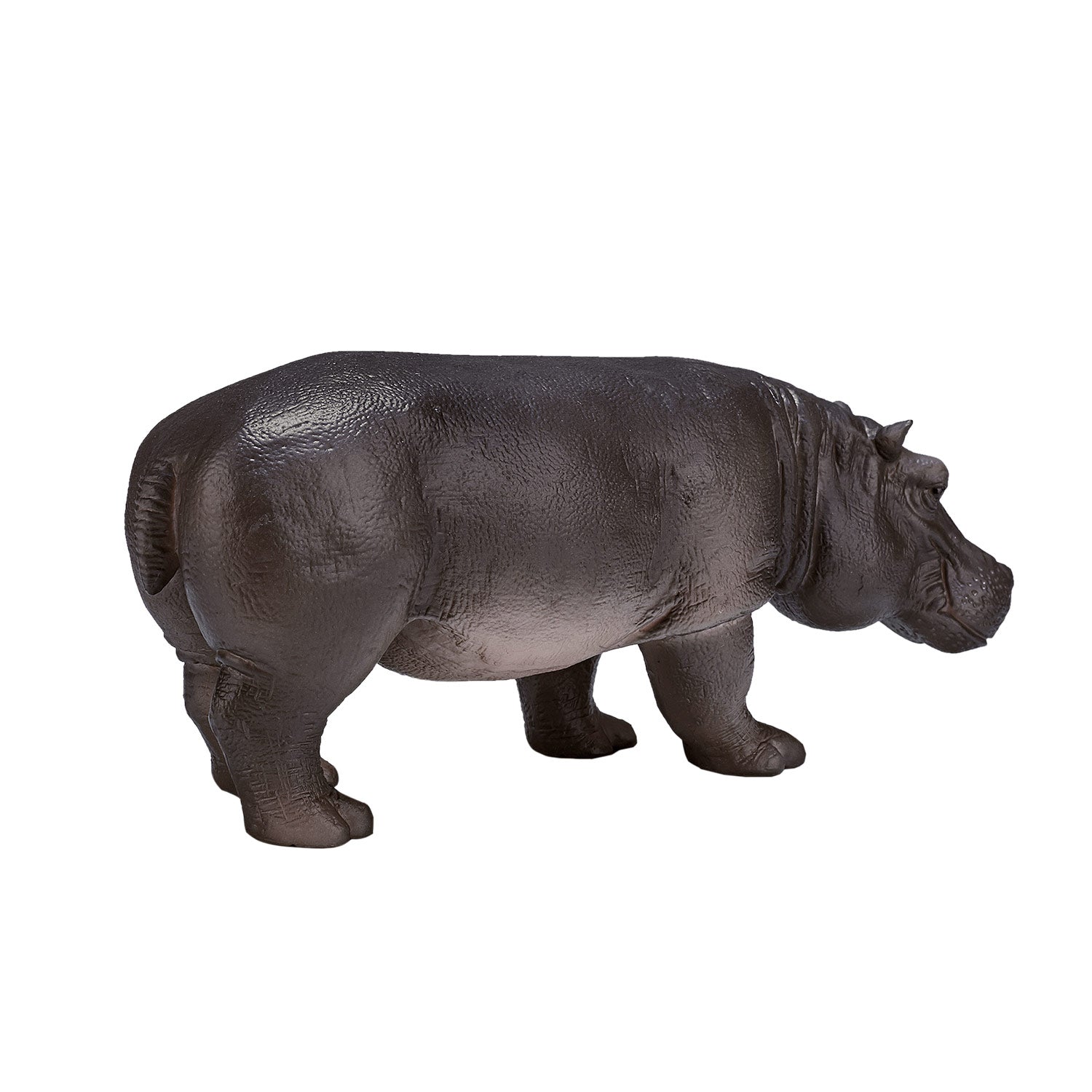 Mojo - wildlife nijlpaard vrouw - 387104