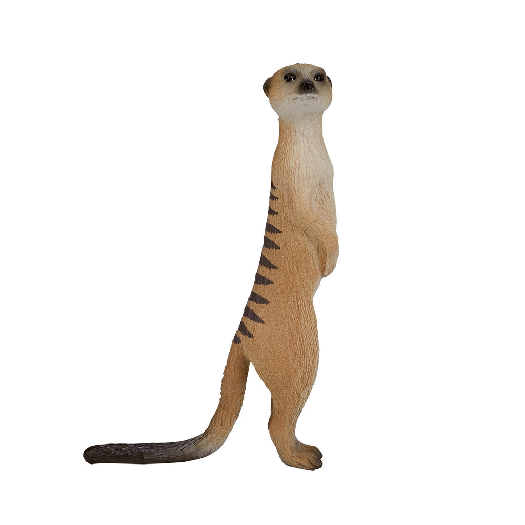 Mojo wildlife stokstaartje - 387125