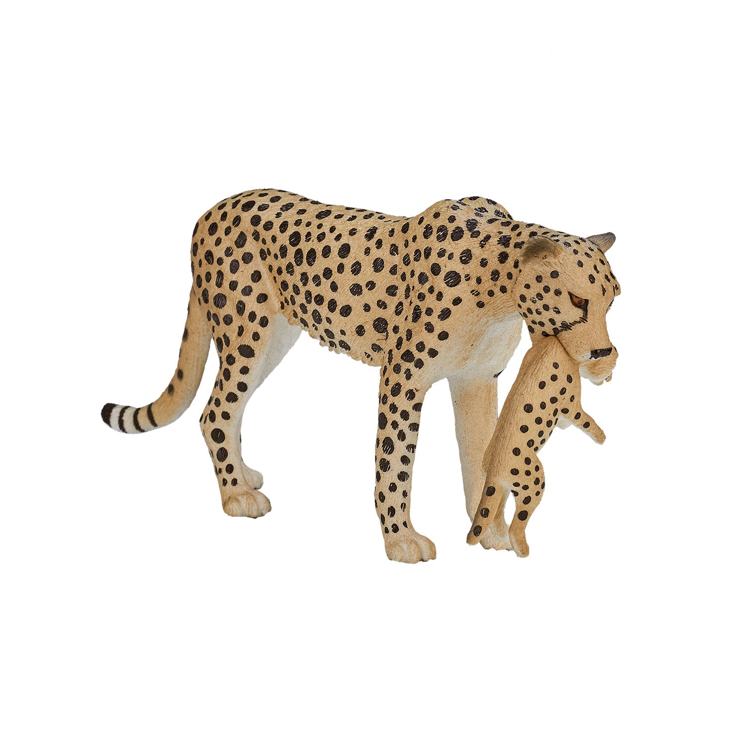 Mojo - wildlife cheetah vrouwtje met welp - 387167