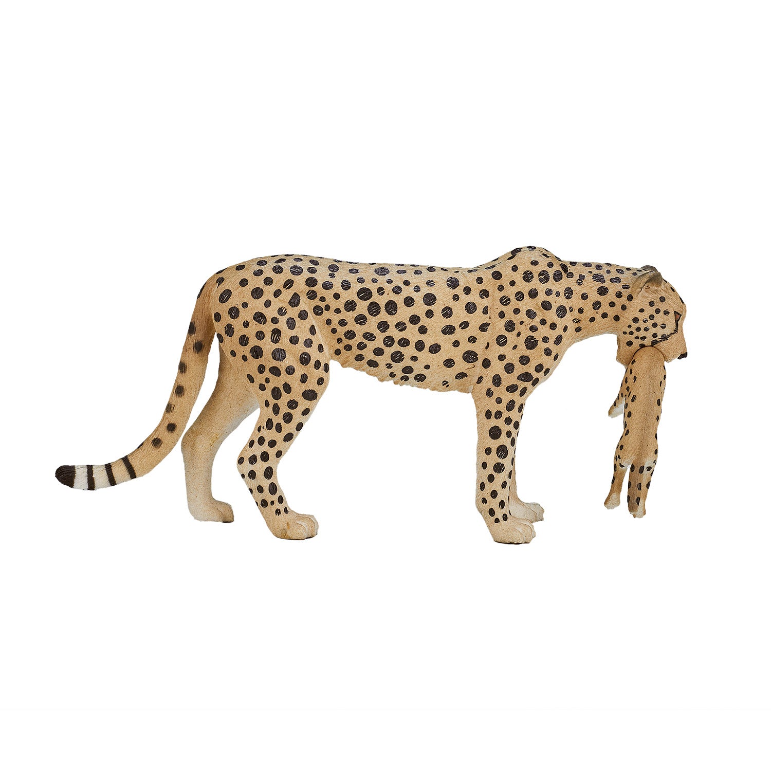 Mojo - wildlife cheetah vrouwtje met welp - 387167