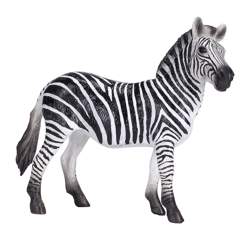 Mojo - wildlife zebra - 387393