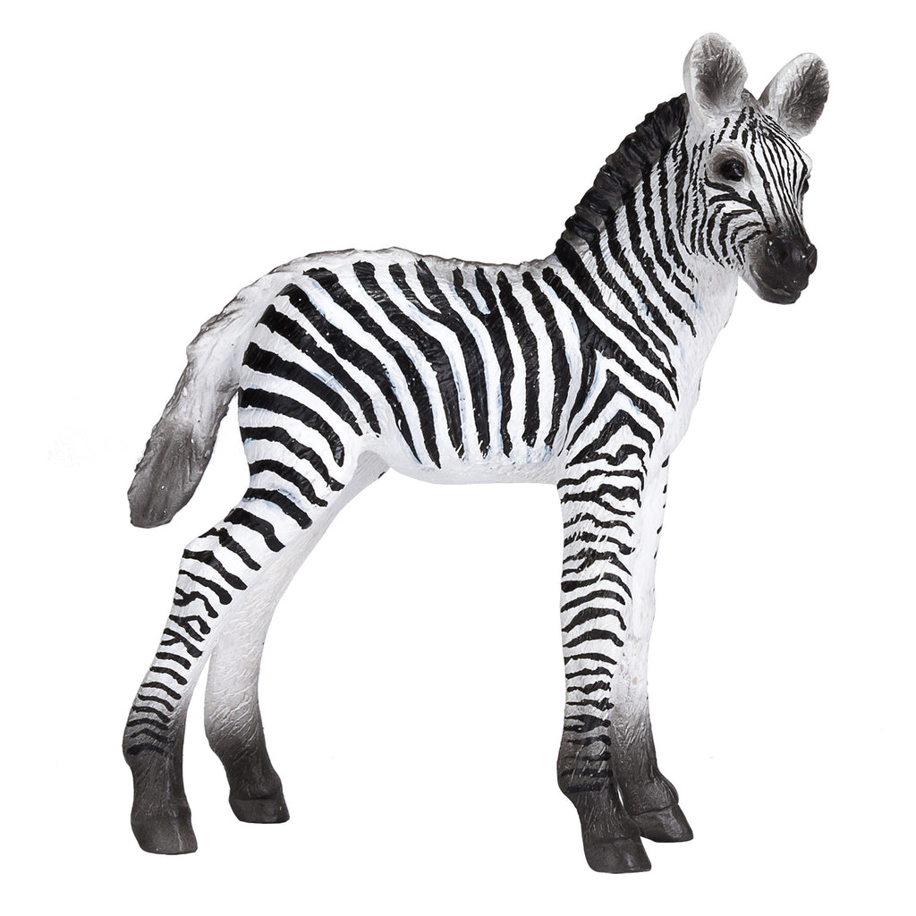Mojo - wildlife zebra veulen - 387394