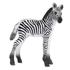 Mojo - wildlife zebra veulen - 387394