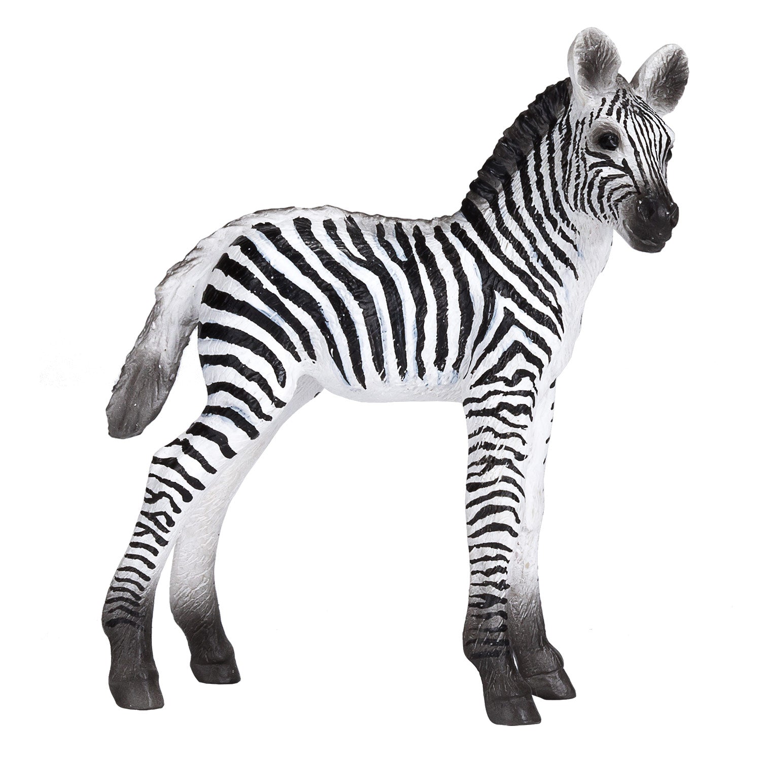 Mojo - wildlife zebra veulen - 387394
