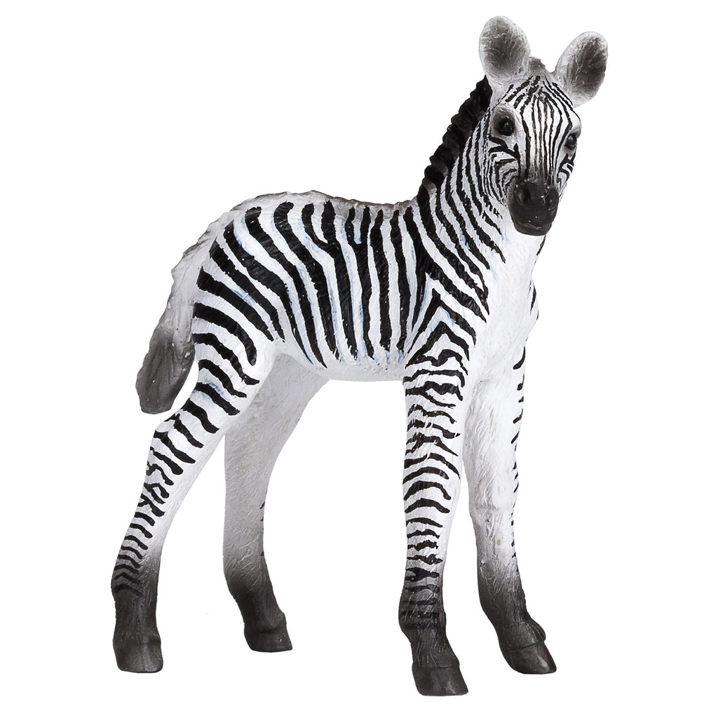 Mojo - wildlife zebra veulen - 387394