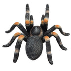 Mojo wildlife rode tarantula - 387213