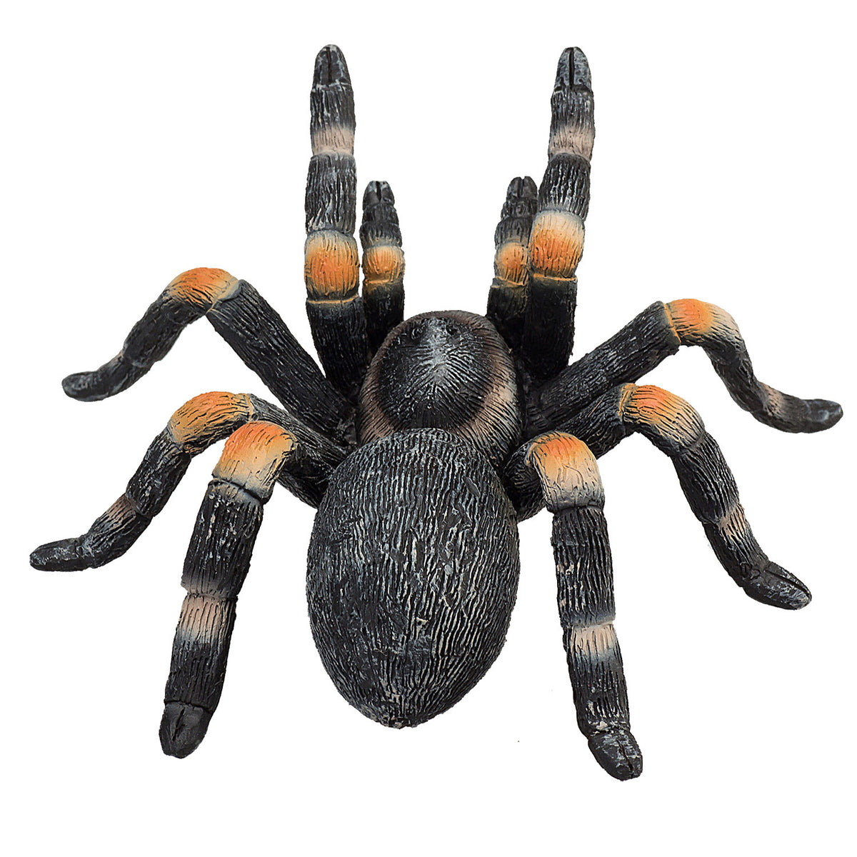 Mojo wildlife rode tarantula - 387213