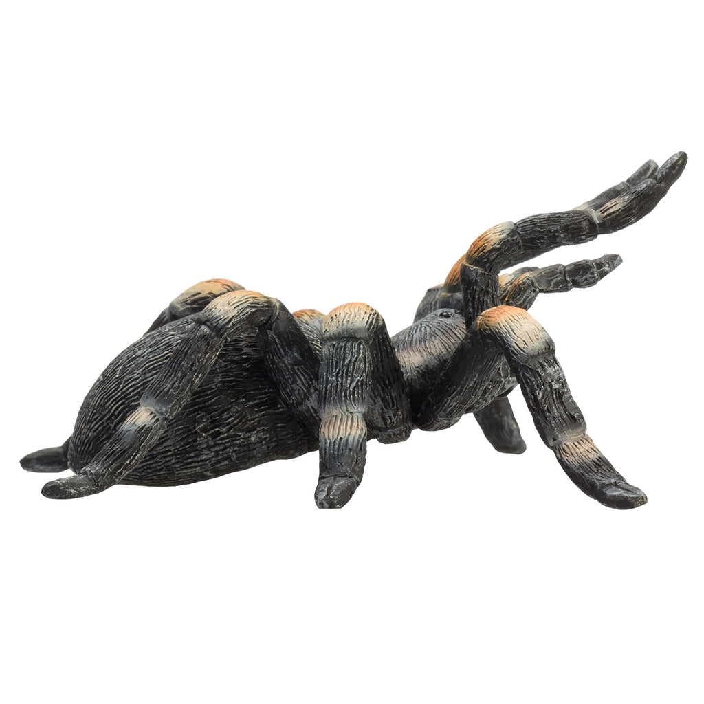 Mojo wildlife rode tarantula - 387213