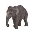 Mojo - wildlife aziatische olifant - 387266