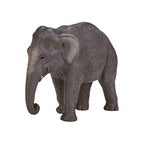 Mojo - wildlife aziatische olifant - 387266