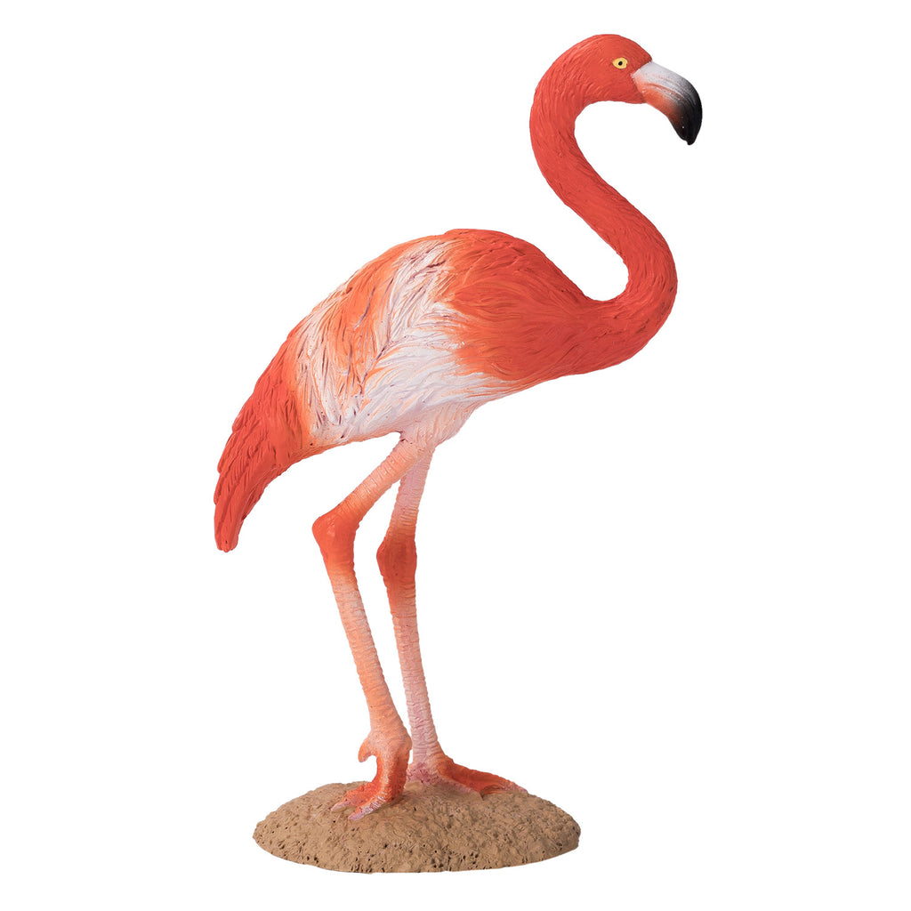 Mojo - wildlife amerikaanse flamingo - 387134