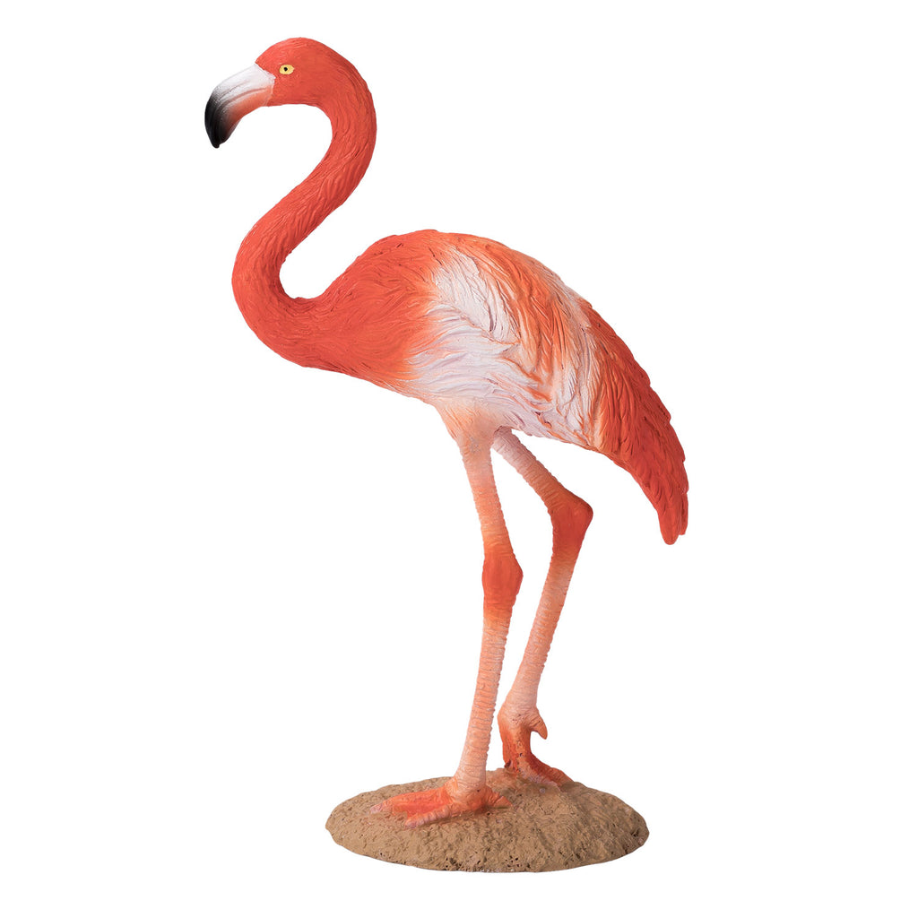 Mojo - wildlife amerikaanse flamingo - 387134