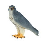 Mojo - wildlife slechtvalk - 381056