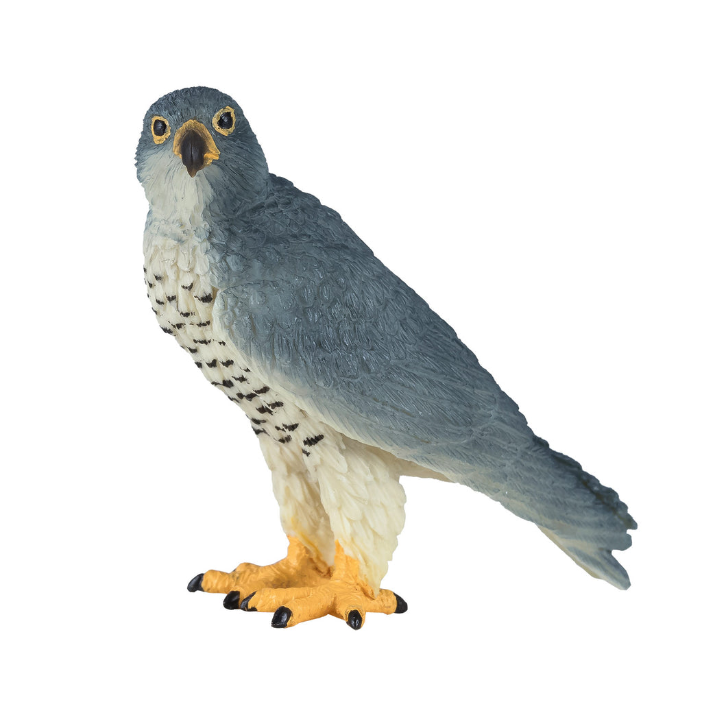 Mojo - wildlife slechtvalk - 381056