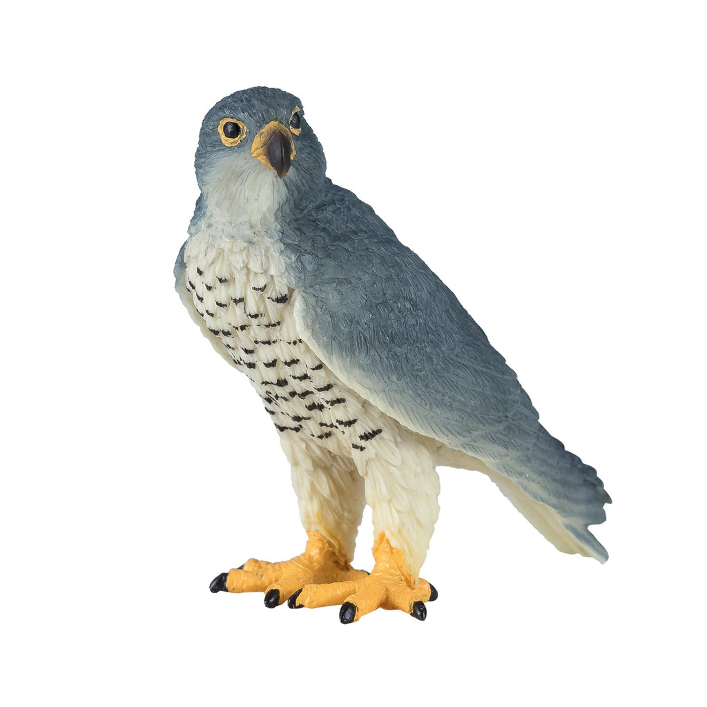 Mojo - wildlife slechtvalk - 381056