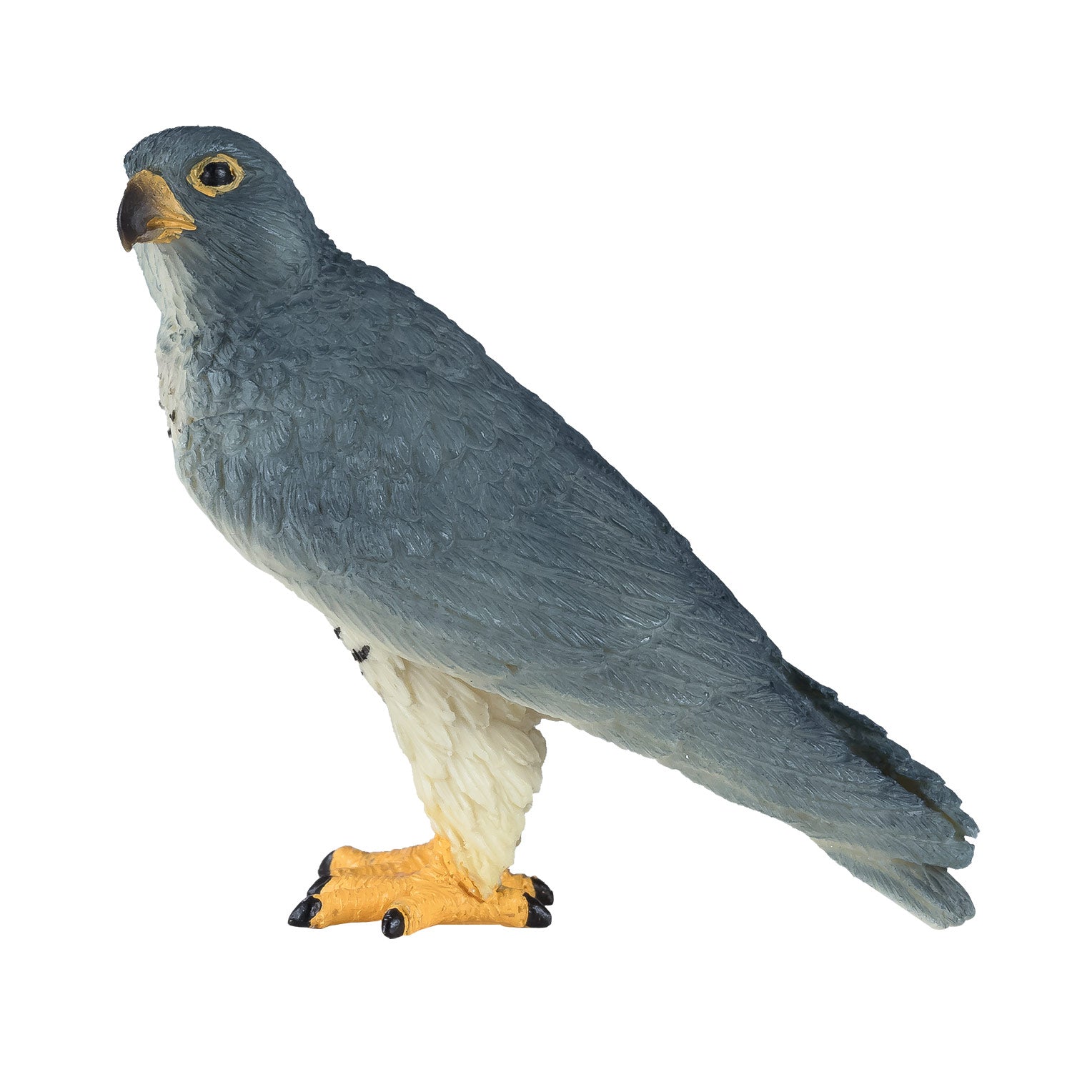 Mojo - wildlife slechtvalk - 381056