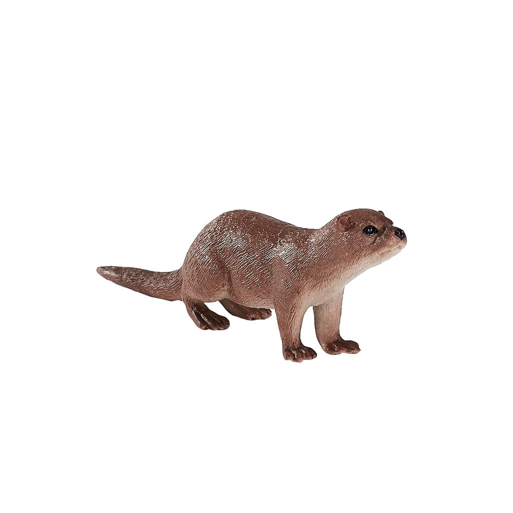 Mojo - wildlife otter - 387128