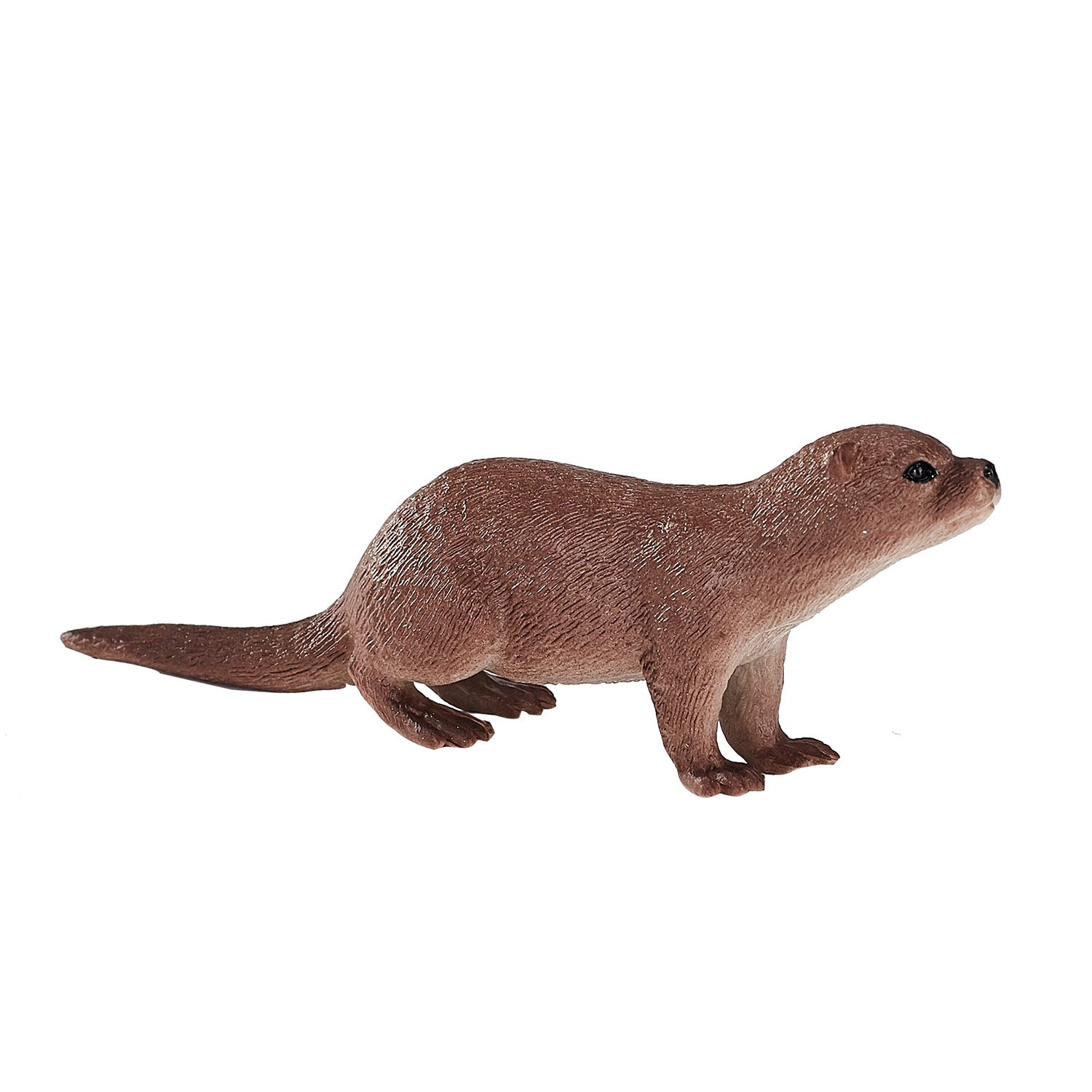 Mojo - wildlife otter - 387128