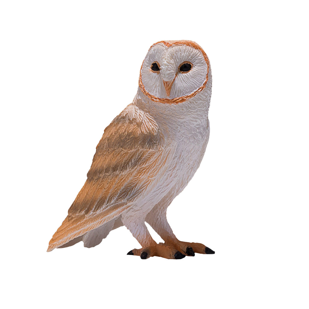 Mojo - wildlife kerkuil - 381054