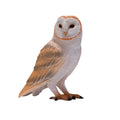 Mojo - wildlife kerkuil - 381054