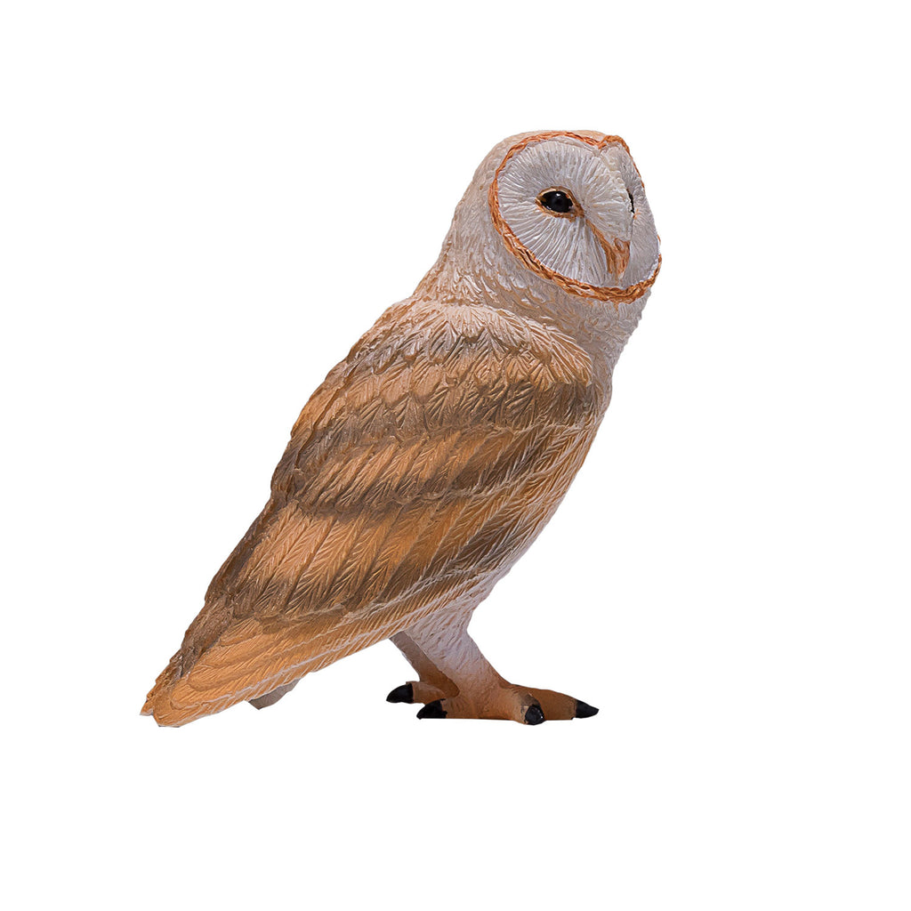 Mojo - wildlife kerkuil - 381054
