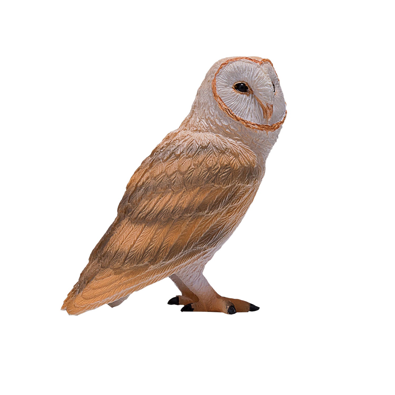 Mojo - wildlife kerkuil - 381054
