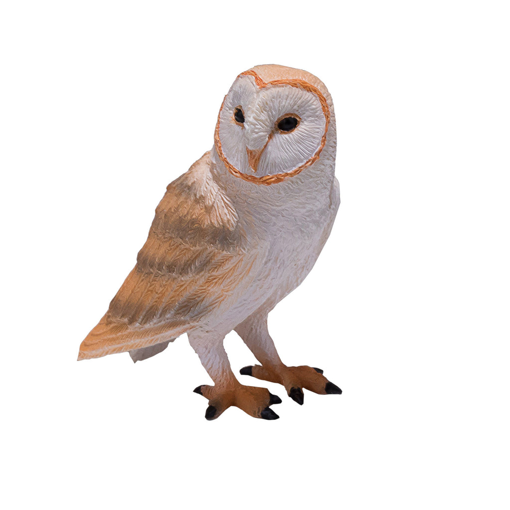 Mojo - wildlife kerkuil - 381054