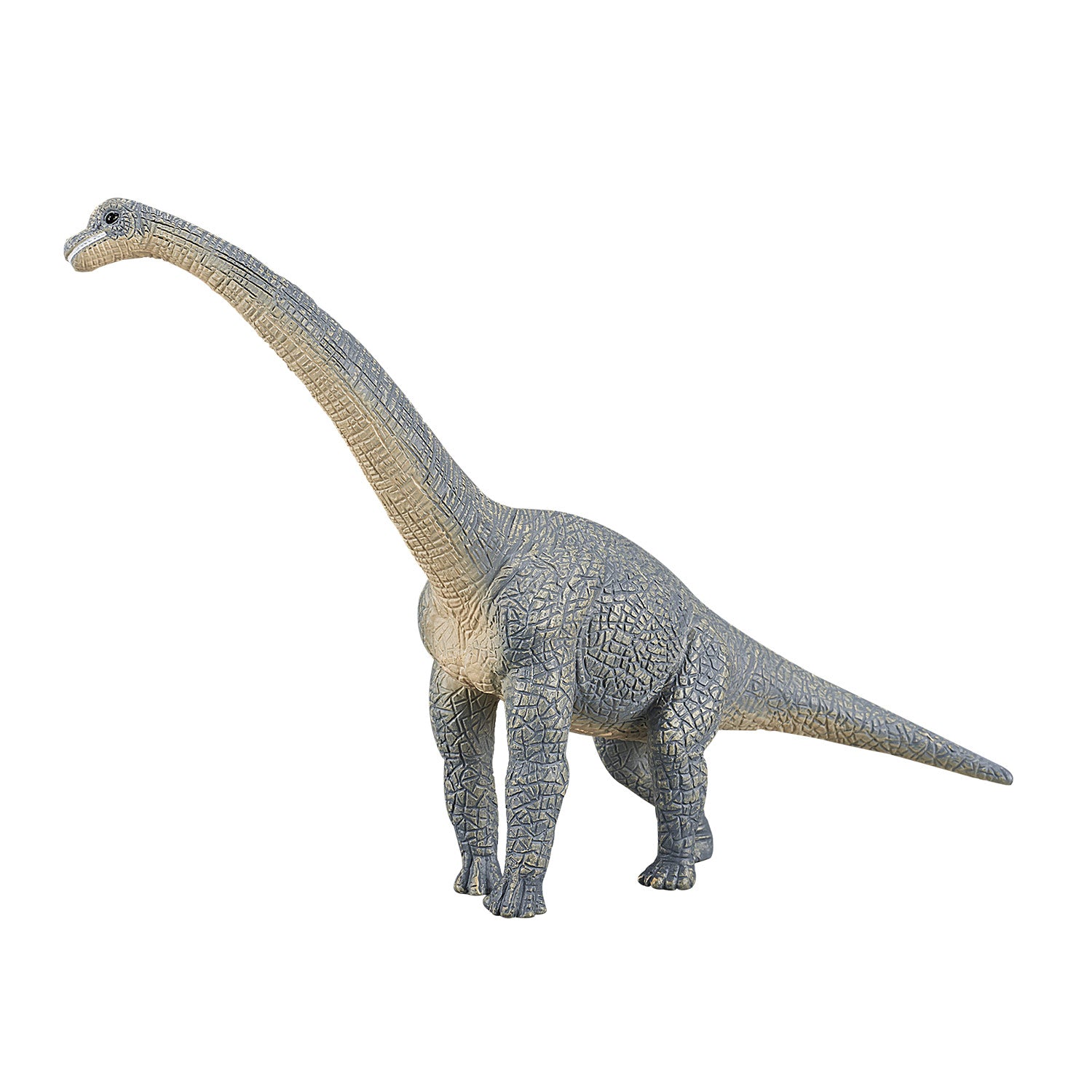 Mojo - prehistorie brachiosaurus - 387044