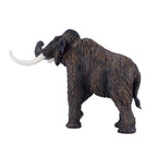 Mojo prehistorie wolharige mammoet - 381049