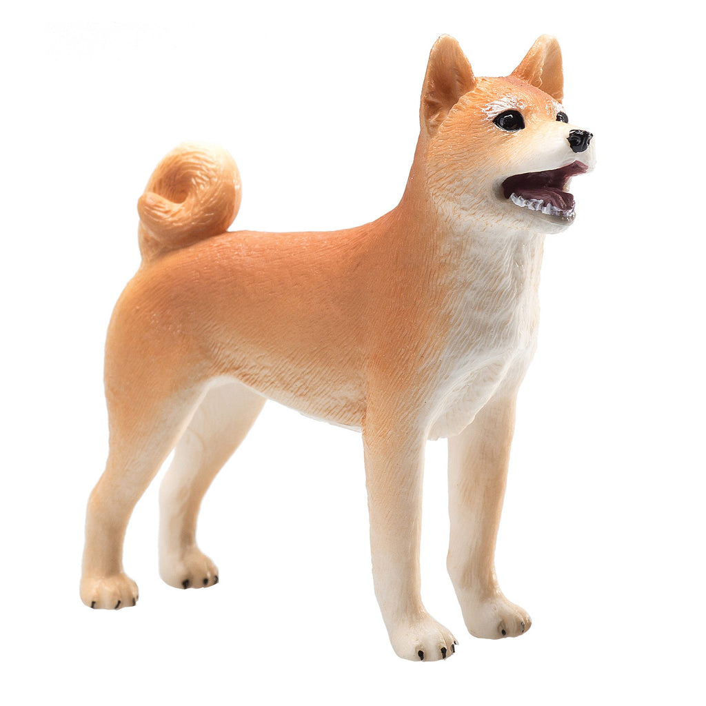 Mojo - farmland shiba inu - 387140